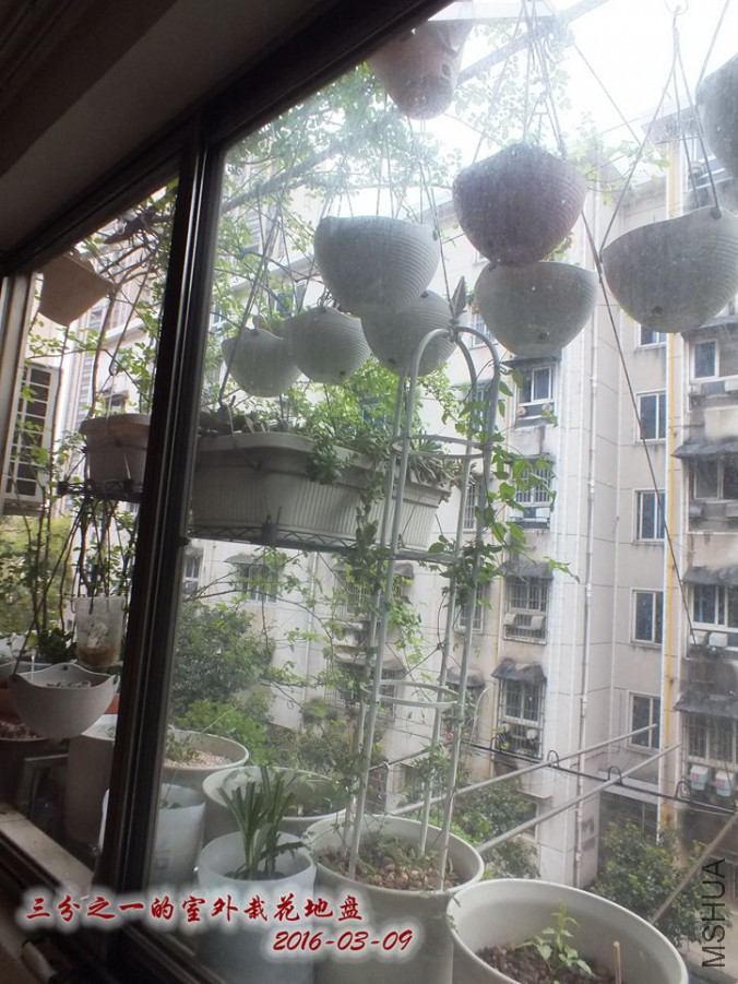 2016.3.9 005_����.jpg