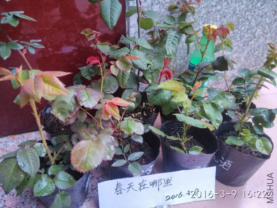 QQͼƬ20160301215852.jpg