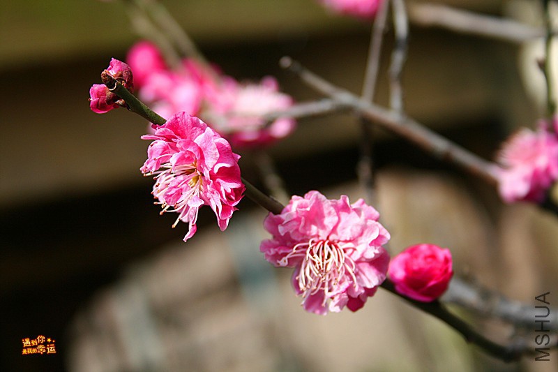 ��Ƭ 021_����.jpg