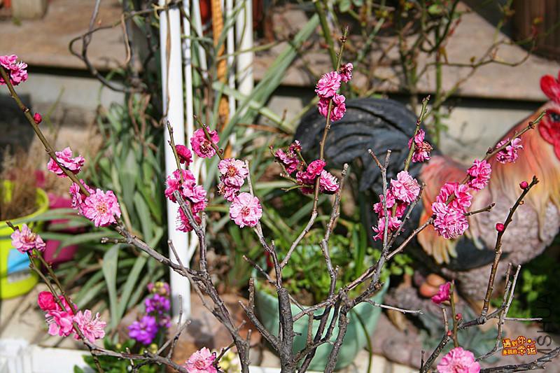 ��Ƭ 020_����.jpg