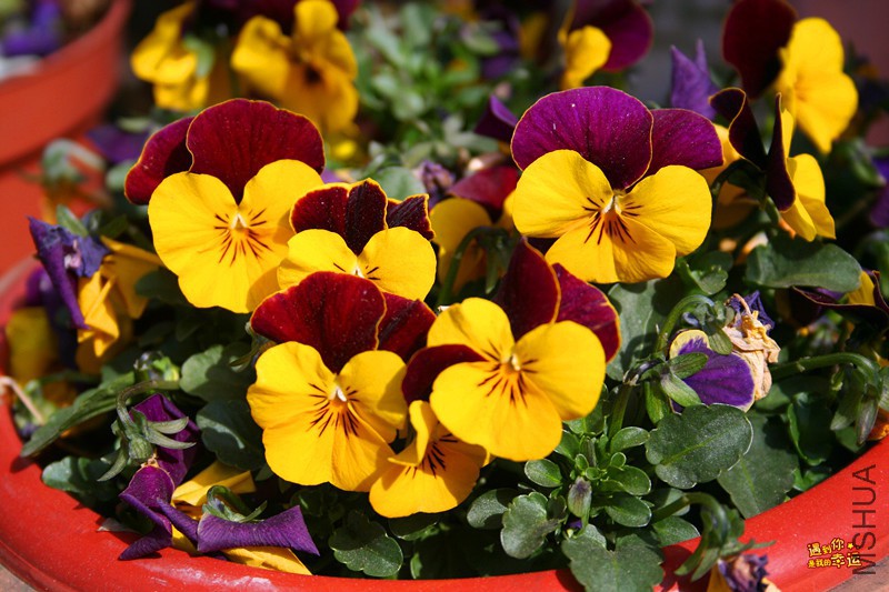 ��Ƭ 027_����.jpg