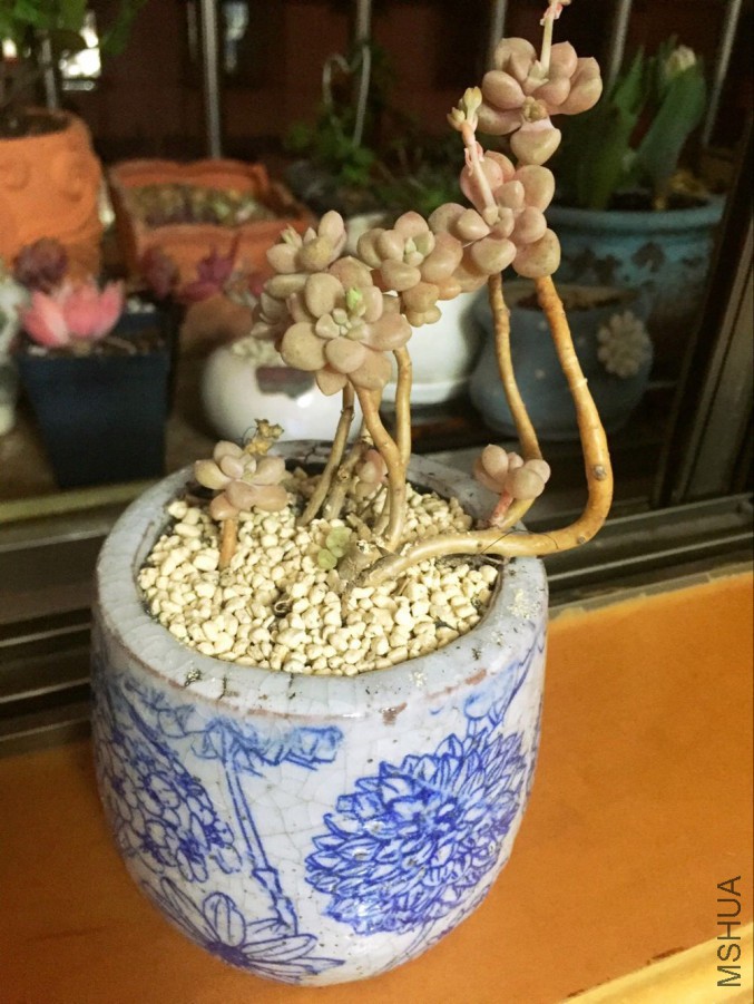 QQͼƬ20160310150138.jpg