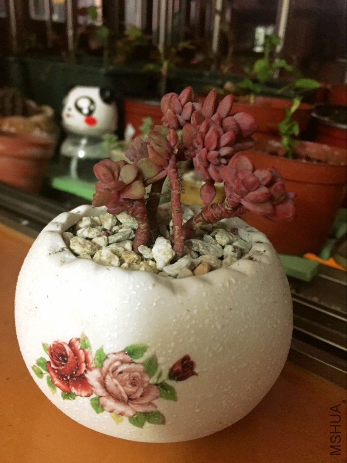 QQͼƬ20160310150142.jpg