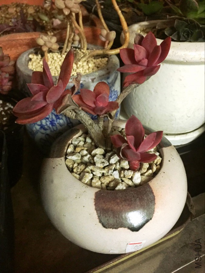 QQͼƬ20160310150145.jpg