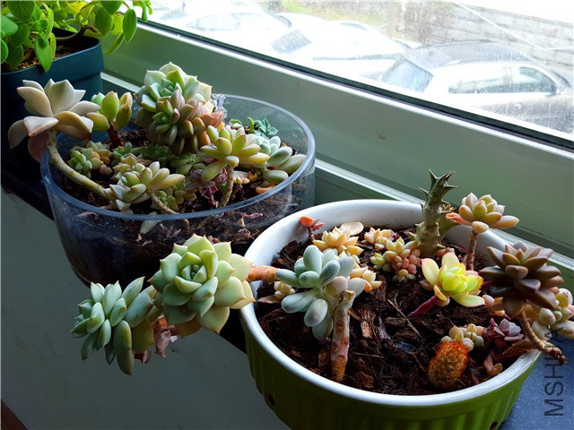 20160310_01.jpg
