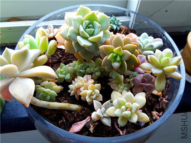 20160310_02.jpg