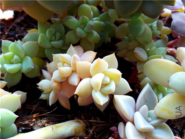 20160310_03.jpg
