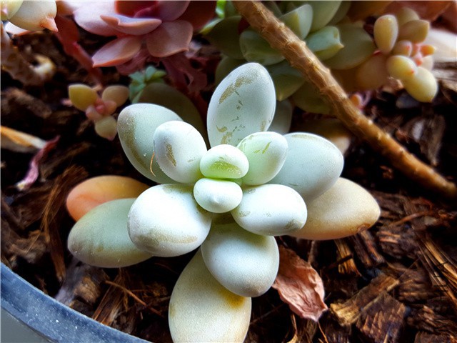 20160310_04.jpg