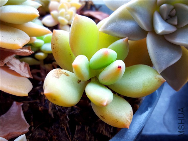 20160310_05.jpg