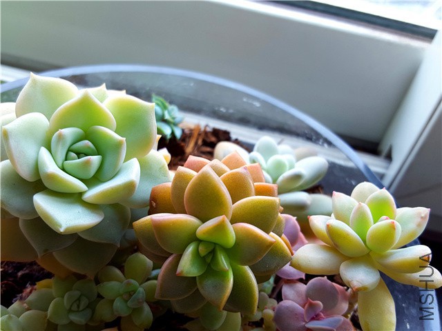 20160310_06.jpg