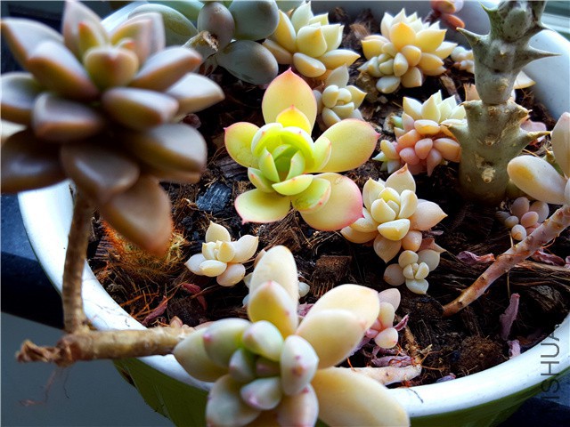 20160310_07.jpg