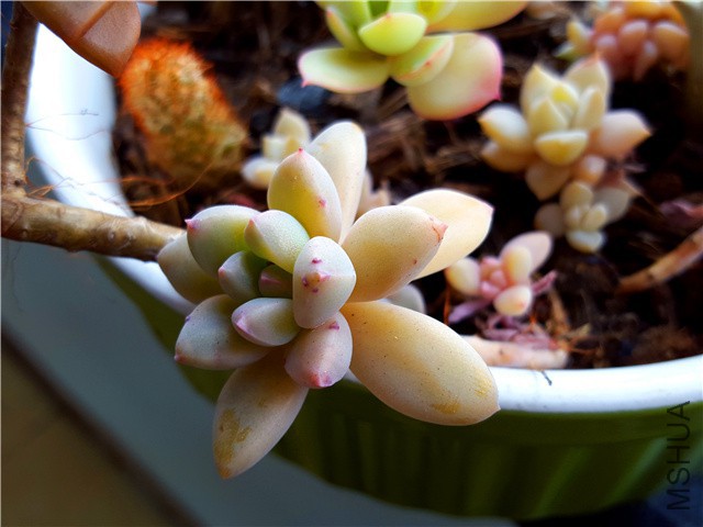 20160310_09.jpg