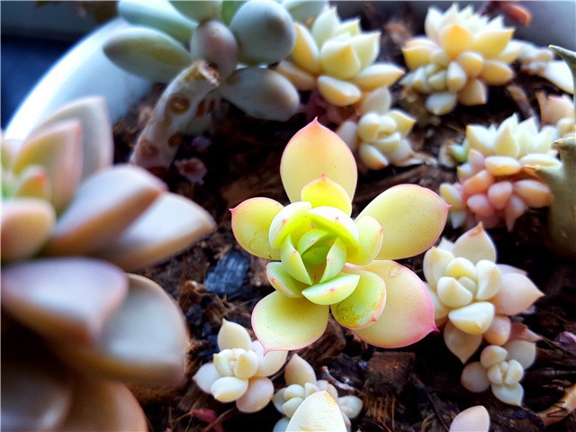 20160310_08.jpg