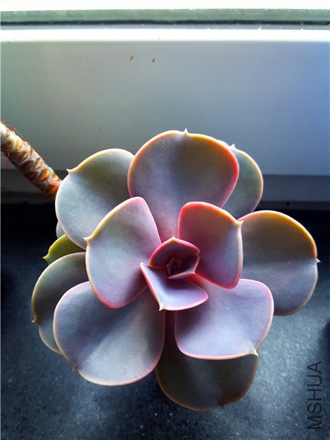 20160310_10.jpg