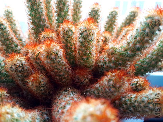 20160310_11.jpg
