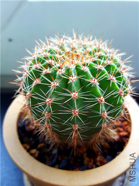 20160310_12.jpg