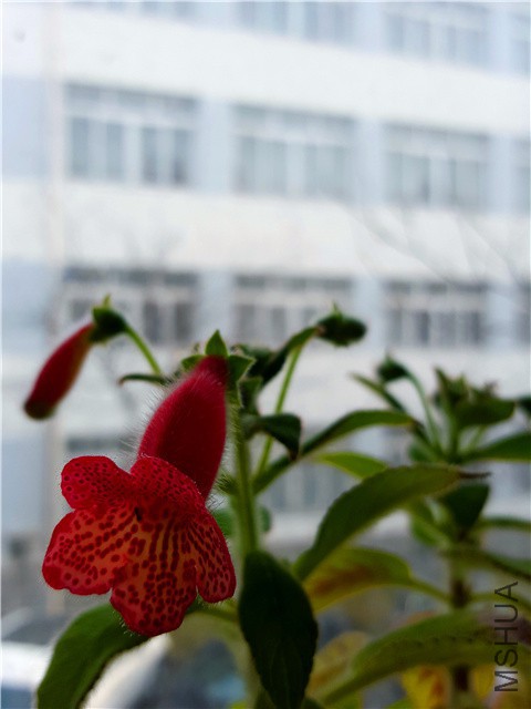 20160310_14.jpg