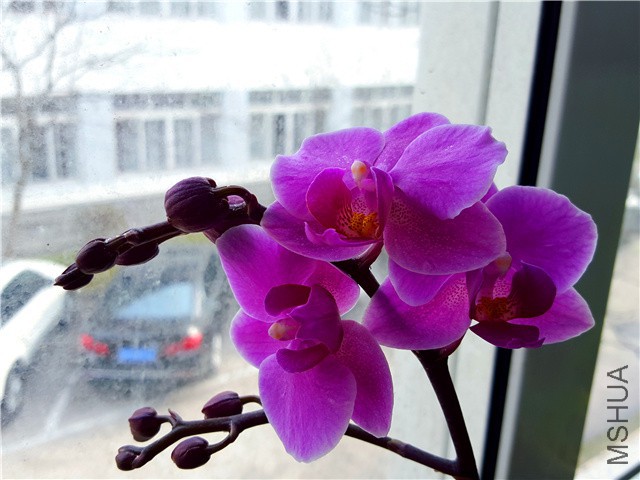 20160310_15.jpg