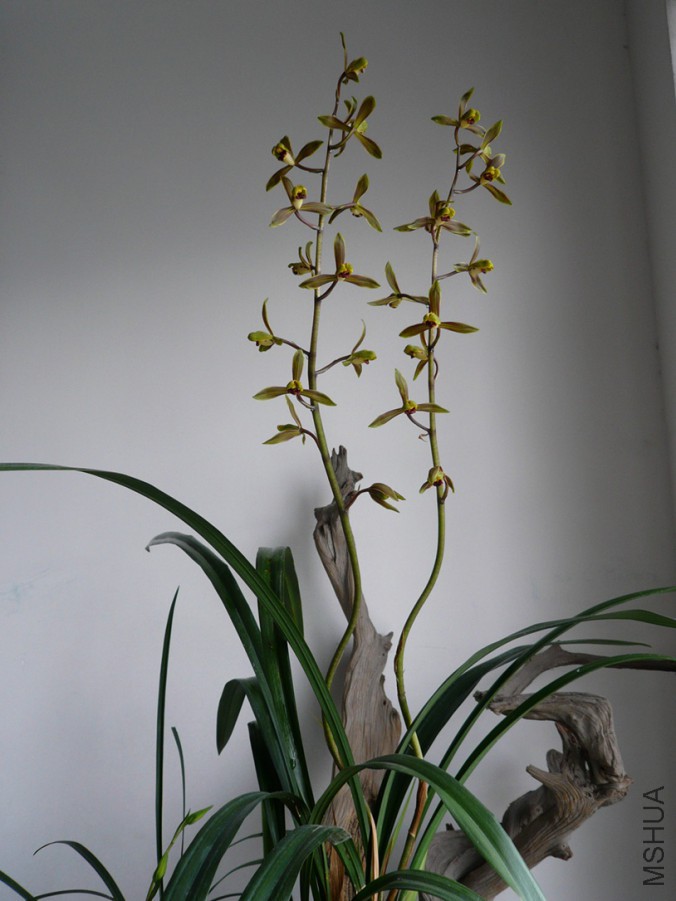 P1200100.JPG