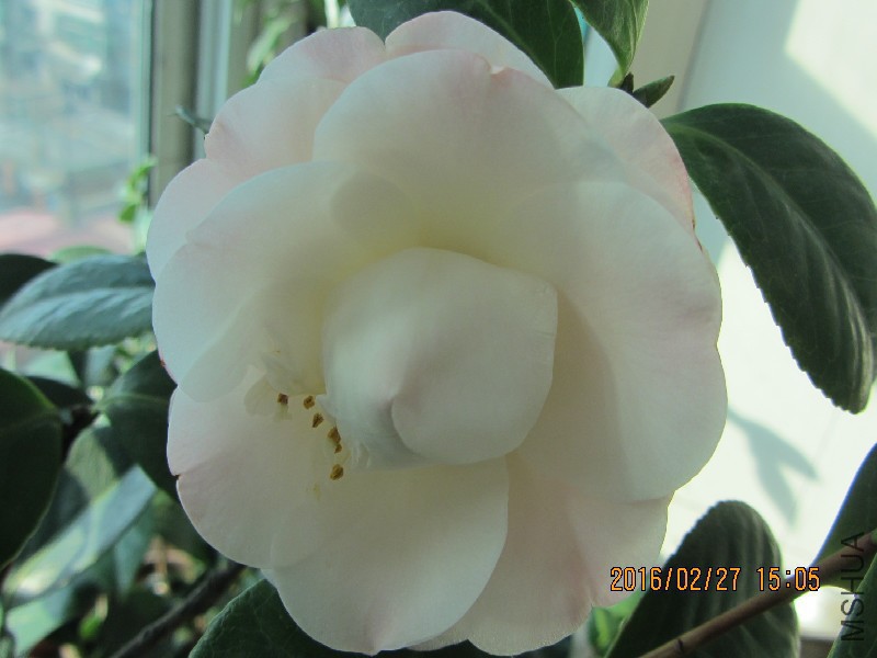 IMG_0637.JPG