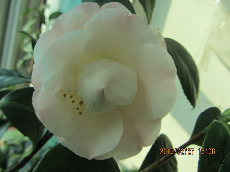 IMG_0639.JPG