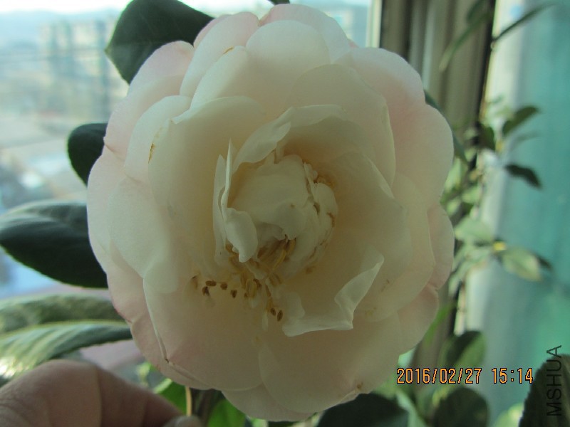 IMG_0644.JPG