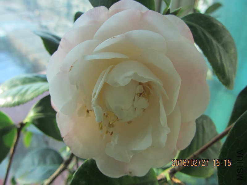 IMG_0646.JPG