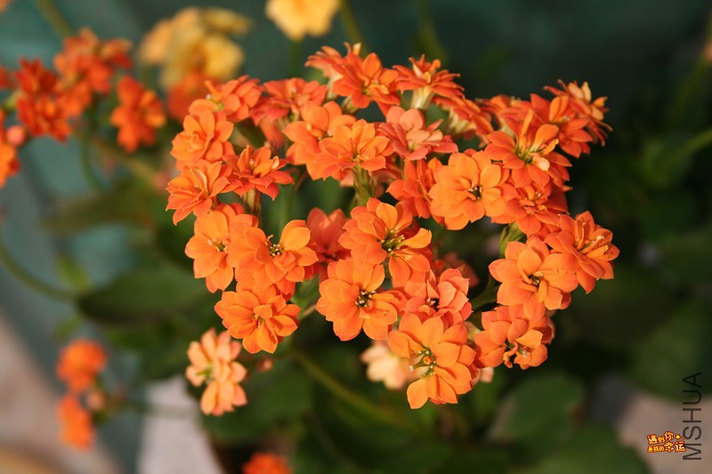 ��Ƭ 019_����.jpg