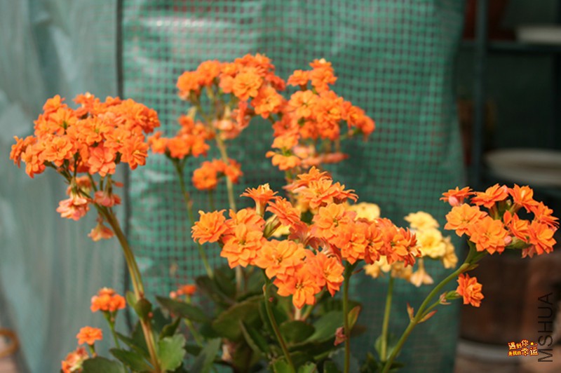 ��Ƭ 017_����.jpg