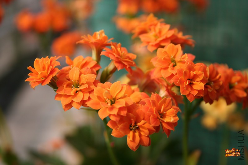 ��Ƭ 021_����.jpg