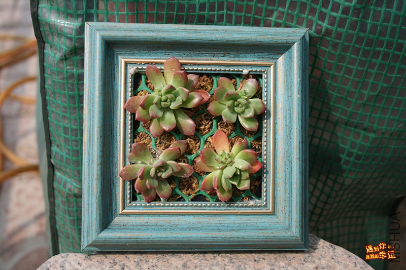 ��Ƭ 053_����.jpg