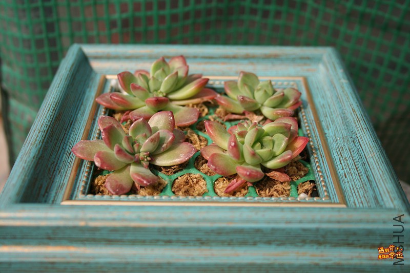 ��Ƭ 056_����.jpg