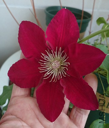 DSC_0206_����.jpg