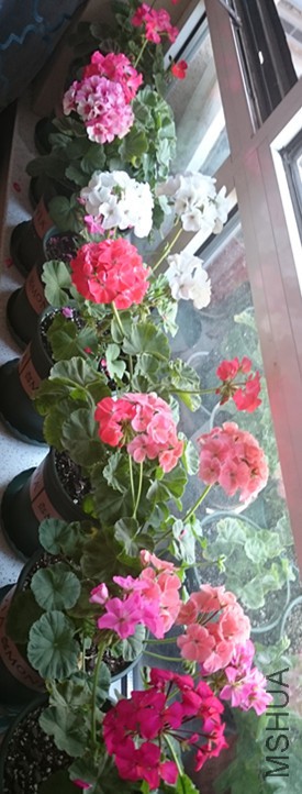 DSC_3189_����.jpg