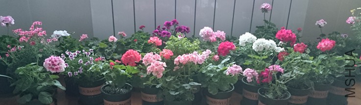 DSC_3219_����.jpg