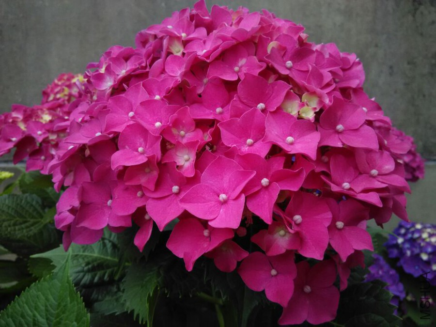 ���� (3).jpg