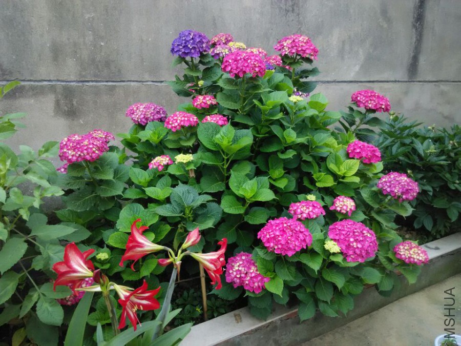 ���� (2).jpg