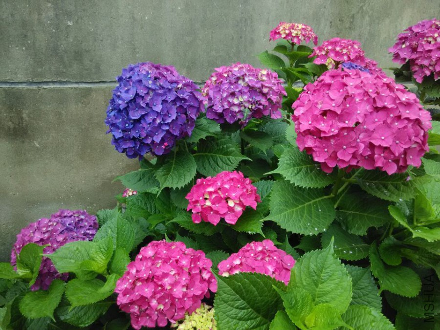 ���� (4).jpg