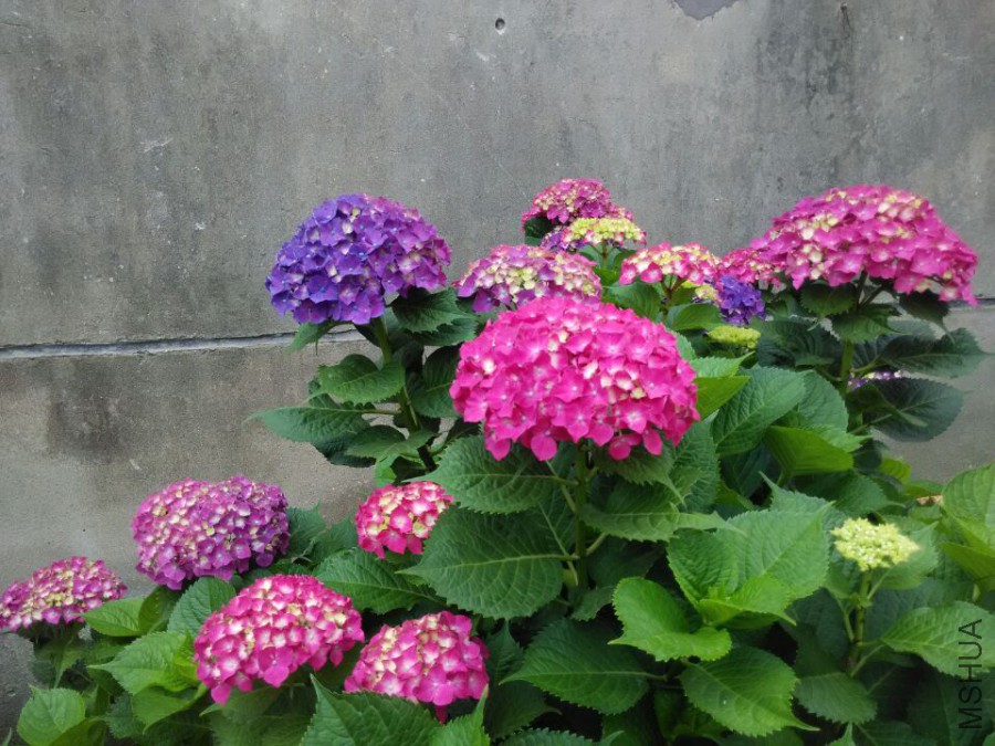 ���� (5).jpg