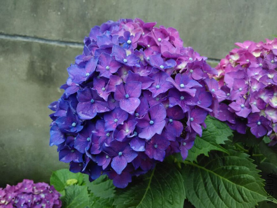 ���� (6).jpg