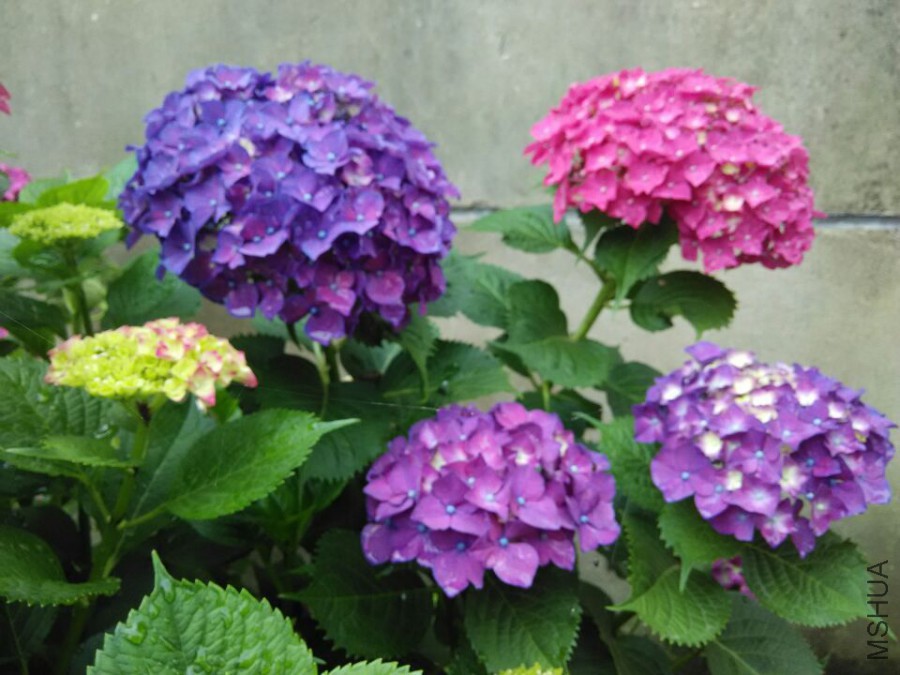 ���� (8).jpg