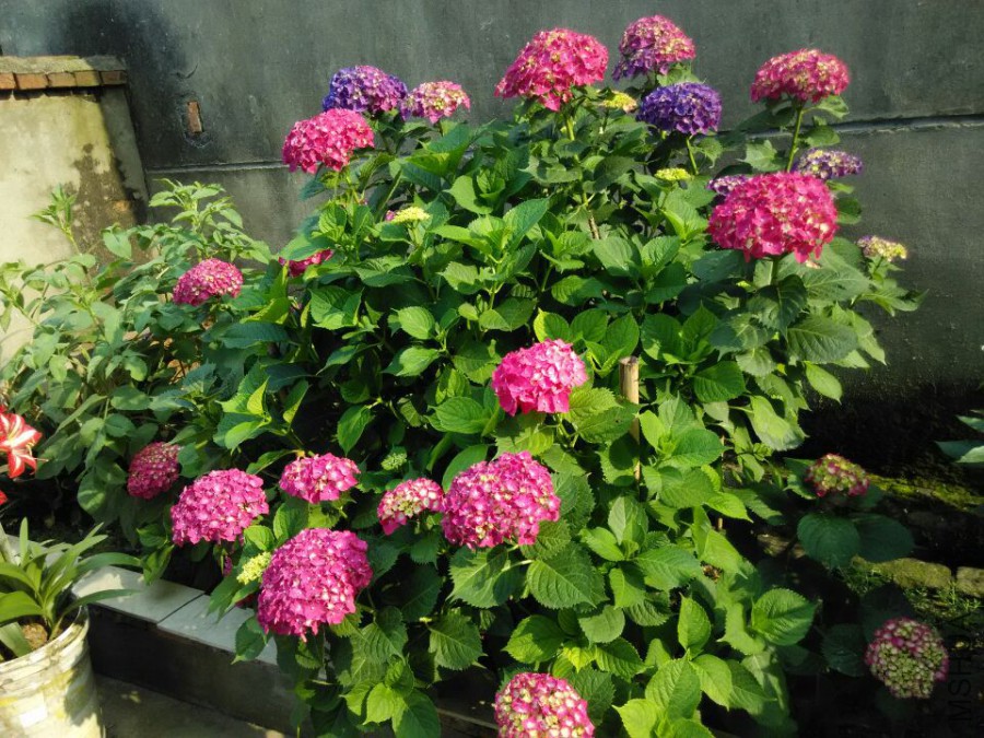 ���� (7).jpg