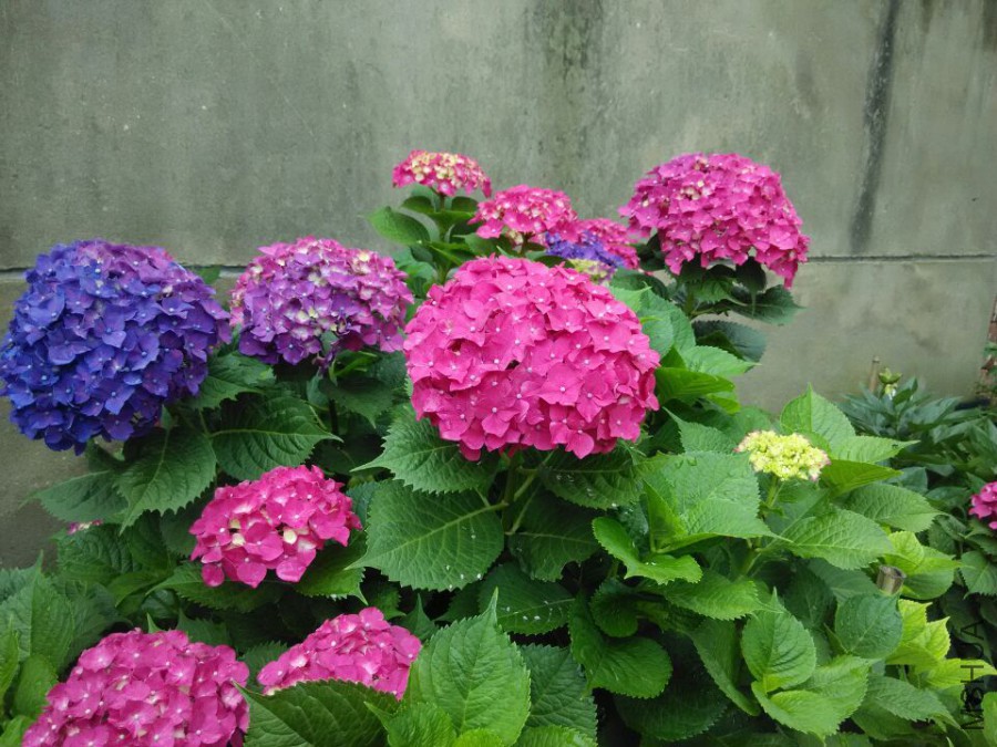 ���� (9).jpg