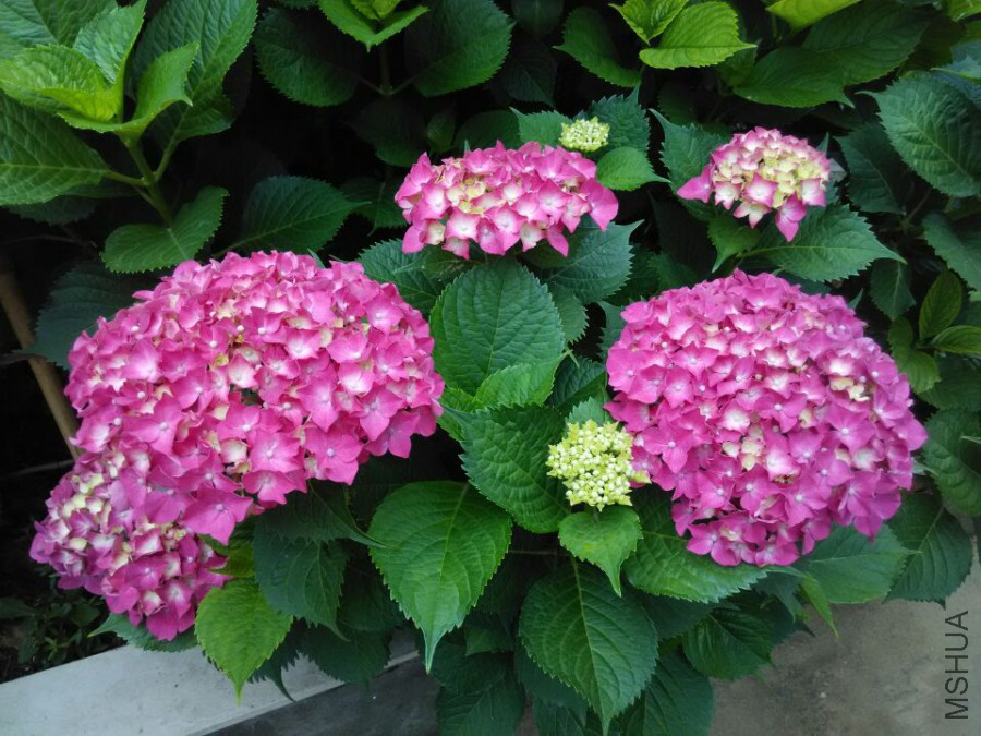 ���� (10).jpg