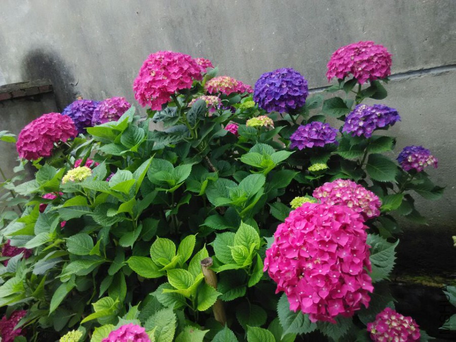 ���� (11).jpg