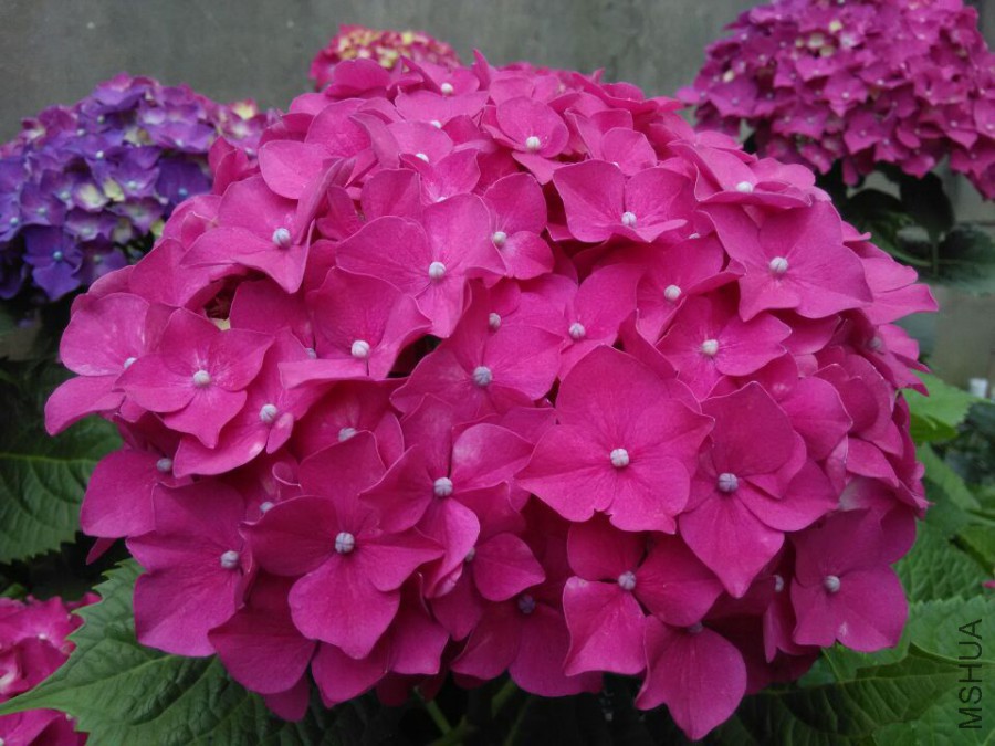 ���� (12).jpg