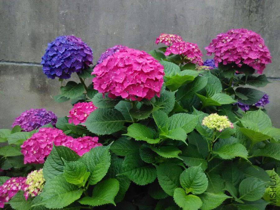 ���� (14).jpg