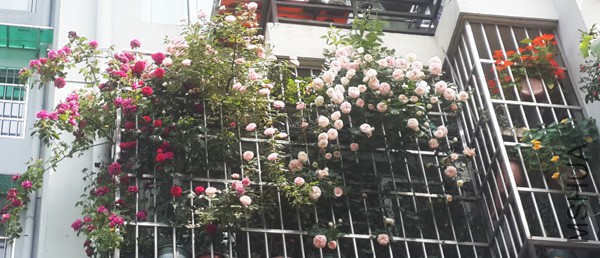 �ҵ�����2.jpg