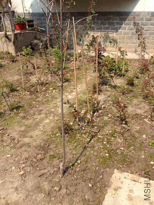 2016-03-12 121647.jpg