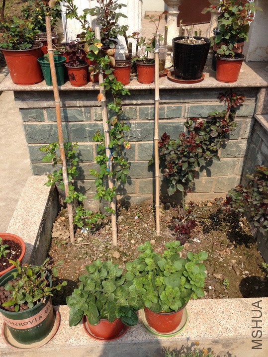 2016-03-12 121538.jpg